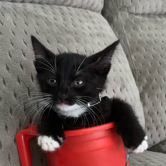 Meet your Posher, Jonathan - Picture 1 of 1